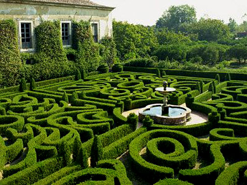 Ashcombe Maze & Lavender Gardens at Mornington Peninsula