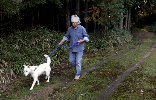Yasuhisa Kohyama walking his white dog in forest