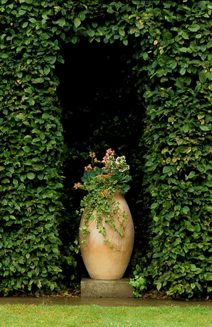 hedge alcove- with large ceramic pot -- John Glover Photography