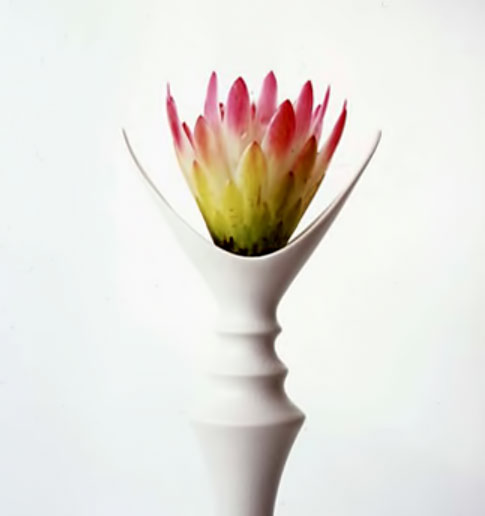 Limited Edition Prints---Vivienne Foley pink flower in white vase