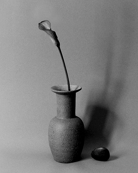 Nicolette-Johnson black and white vase image