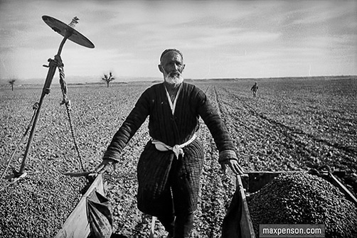 Sower--Max-Penson - sowing seeds in a Uznekistan field