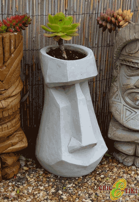 Tiki head-planter with succulant