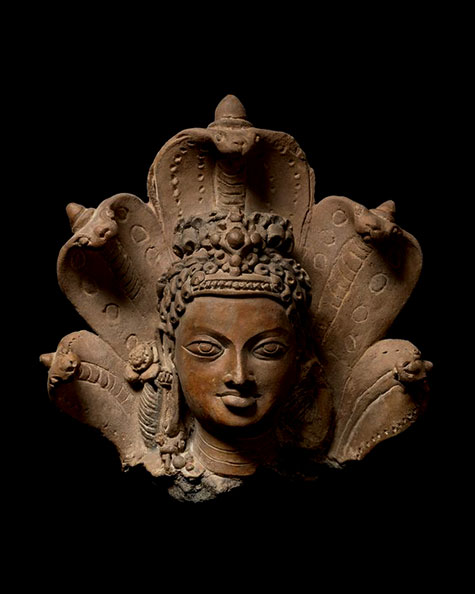 Head of Manasa, the serpent goddess, Eastern India, Gupta period, early 6th century, Terracotta.