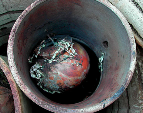 Alex mandliSaggar firing in a kiln with clay vessel