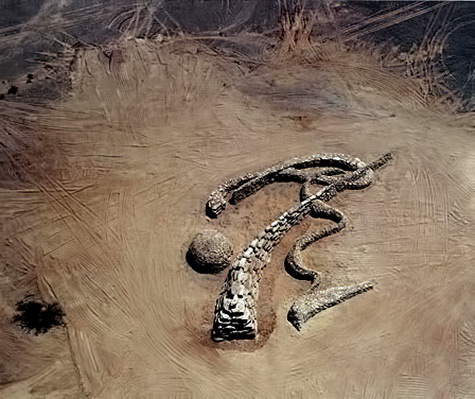 Andrew Rogers created the first 'Rhythms of Life' geoglyph in the Arava Desert