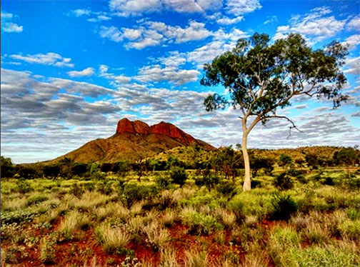 Haasts Bluff is situated in the middle of the spectacular West Macdonnell Ranges!