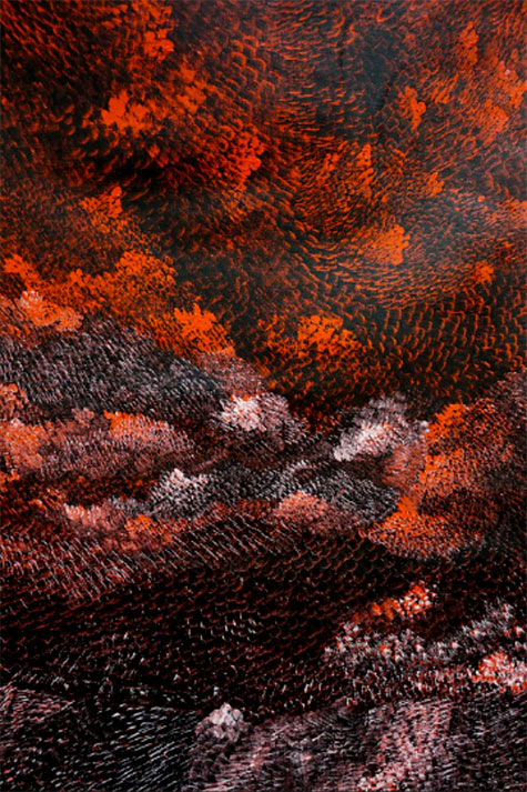 MIART-Amanda Gabori-DIBIRDIBI SCALES-ACRYLIC ON LINEN-2010 Mirnidyan Gununa is the Aboriginal Arts and Culture Centre on Mornington Island