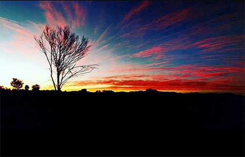 ikuntjiartistsAnother-beautiful-Sunset in the Western Desert