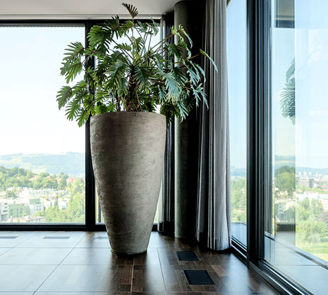 Atelier Vierkant huge planter-AH Pot with tropical foliage