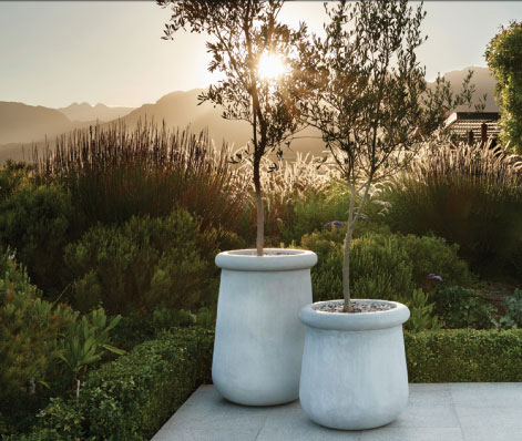 Two Soma planters by Indgenous