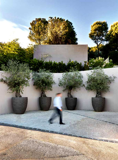 AUB 130 in grey with old olive trees Architectural office of Collection Privee, Cannes