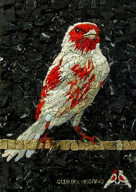Arianna-Gallo-robin-bird-mosaic