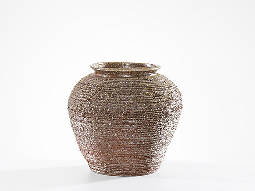 Shozo Michikawa -Natural Ash Jar, 2005--28cm