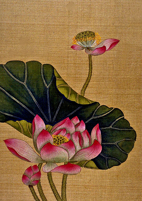 Lotus Blossoms, 1700-1799. Chiang Su. Opaque watercolor on silk