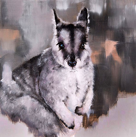 Mal Chambers_Rock Wallaby oil painting