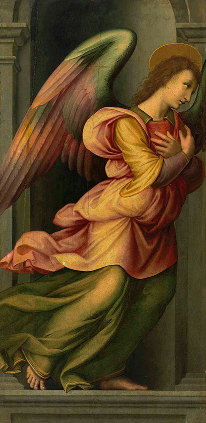 giovanni_antonio_sogliani Angel oil painting