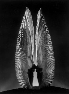 Angel Wings glass sculpture,-1943--Ruth Brnhard