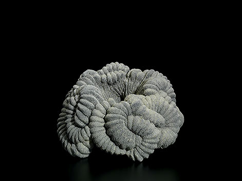 Chieko Katsumata-shigaraki-stoneware,-chamotte,-37-x-32-x-32-cm