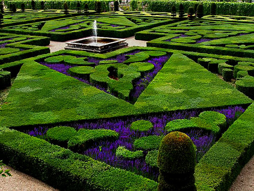French Formal Garden in Loire Valley Aernoudts jean