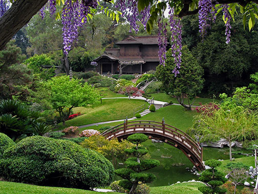 Updated Japanese-Garden-at-the-Huntington-Library
