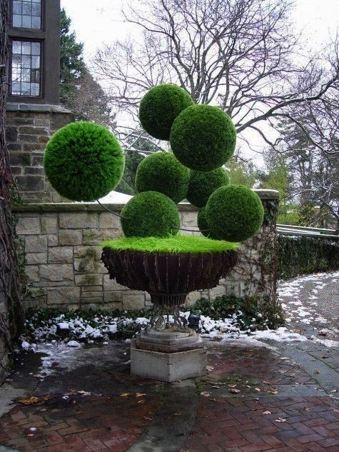 Topiary garden----Green Spheres