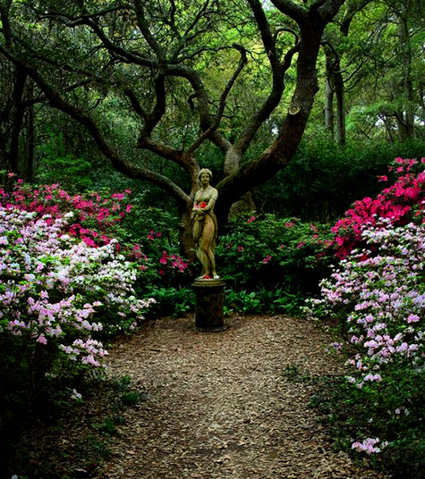 Classical  nude female statue in the garden