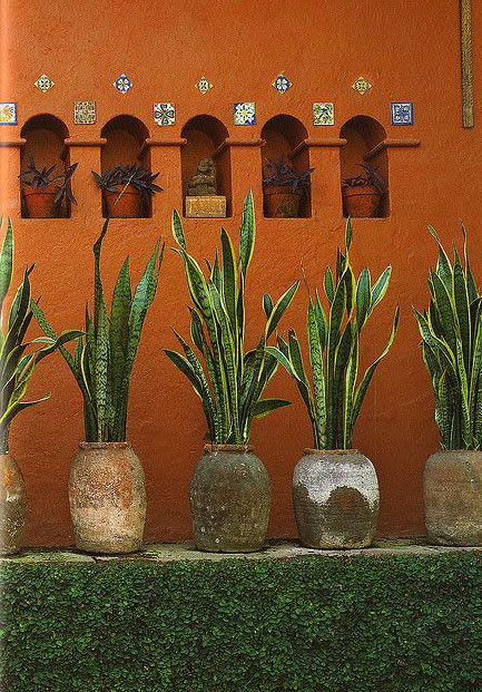 mexican-terracotta-garden plants