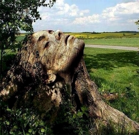 Earth Goddess tree-carving
