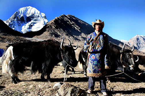 Tibetan-Yak-Teamster-Sacred-Mount-Kailash-Far-Western-Tibet-China