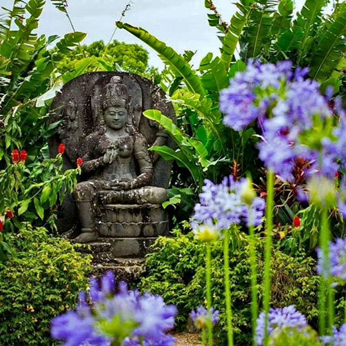 Lakshmi in tropicaal setting