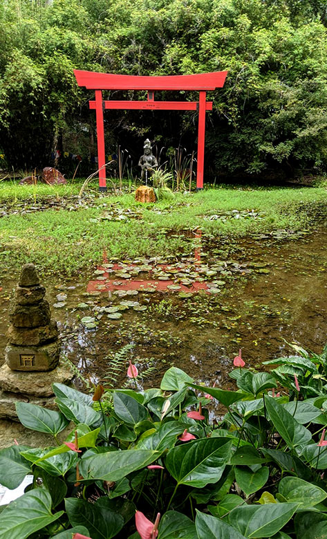 Lotus pond at Shambala Gardens