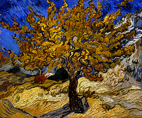 Vincent Van Gogh -- Mulberry Tree