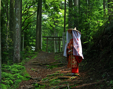 kumano-kodo-pilgrimage-route