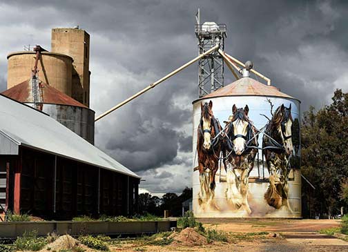 Melbourne street artist Jimmy Dvate known for his depictions of the natural world painted the Goorambat silos in Victorias north
