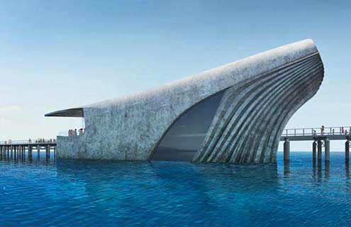 Australian Marine Observatory by Baca Architects will resemble a whale emerging from water