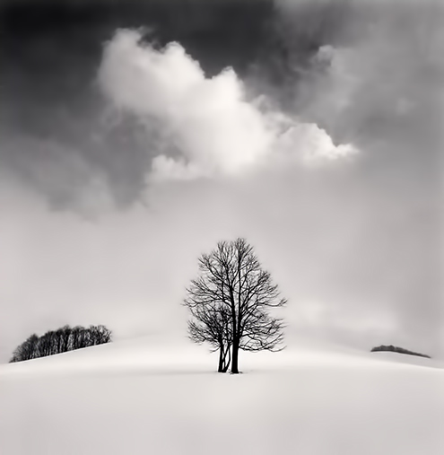 Percy’s Perspective, Okhotsk, Hokkaido, Japan.
